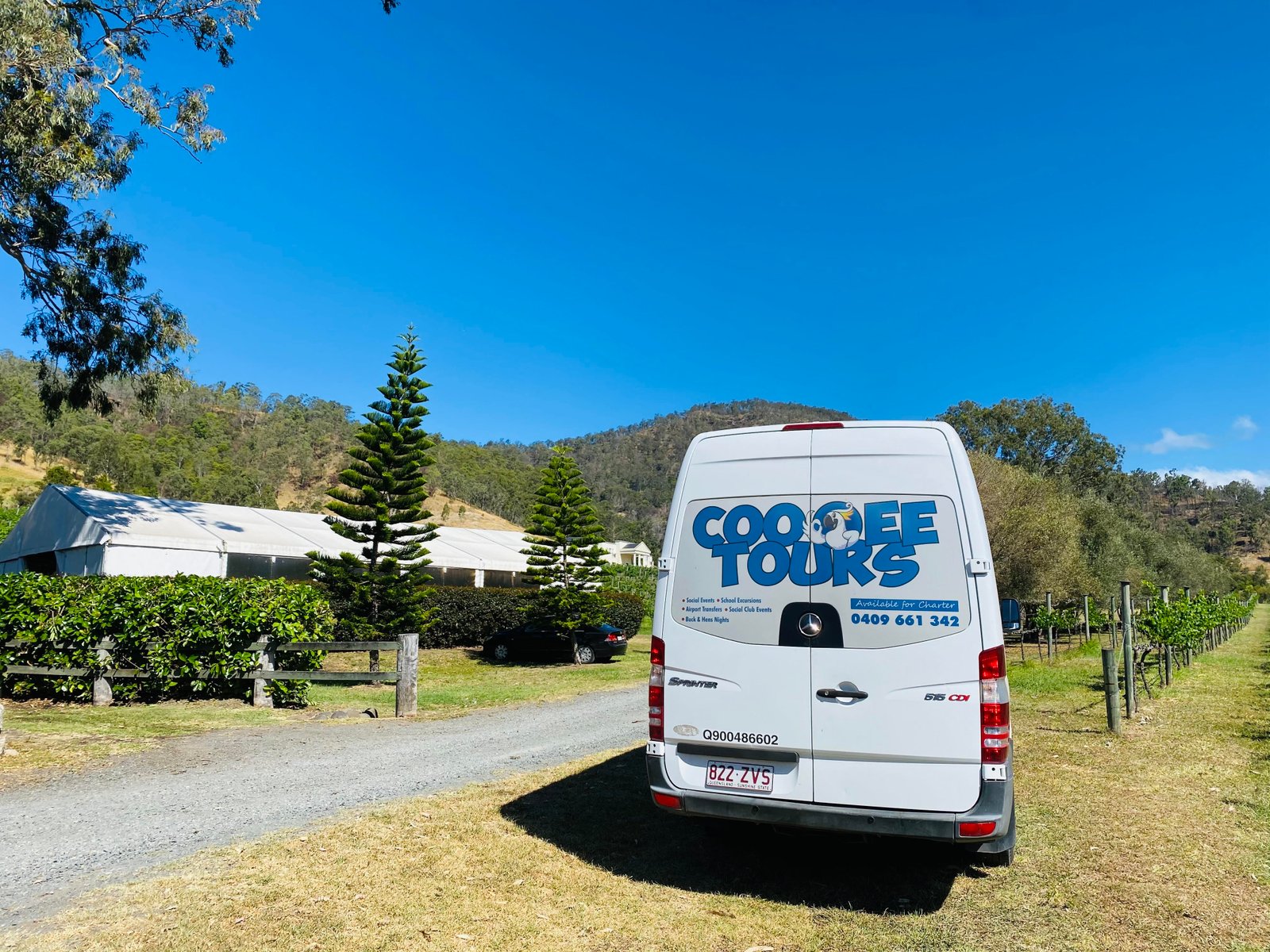 Cooee Tours luxury coach parked at a heritage Gold Coast hinterland winery amid rolling vineyard hills
