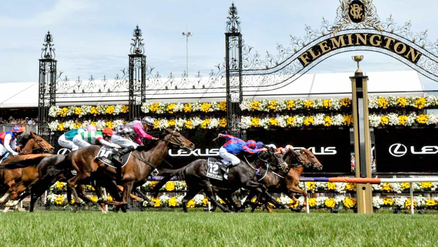 Melbourne Cup Horse Racing