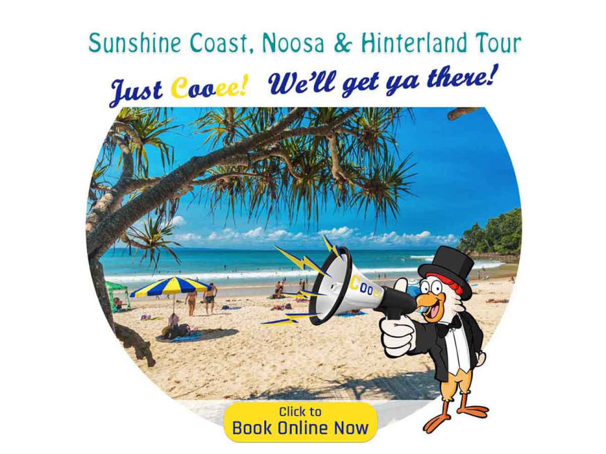 Cooee Tours Australia Bus Tour Company with Mercedes Benz Buses for Winery Tours, Nature Tours, City Tours, Fun Tours, Golf Tours, Queensland, Brisbane, Toowoomba, Gold Coast, Sunshine Coast, Cairns, Wide Bay, Bryon Bay, Sydney, food world northern rivers