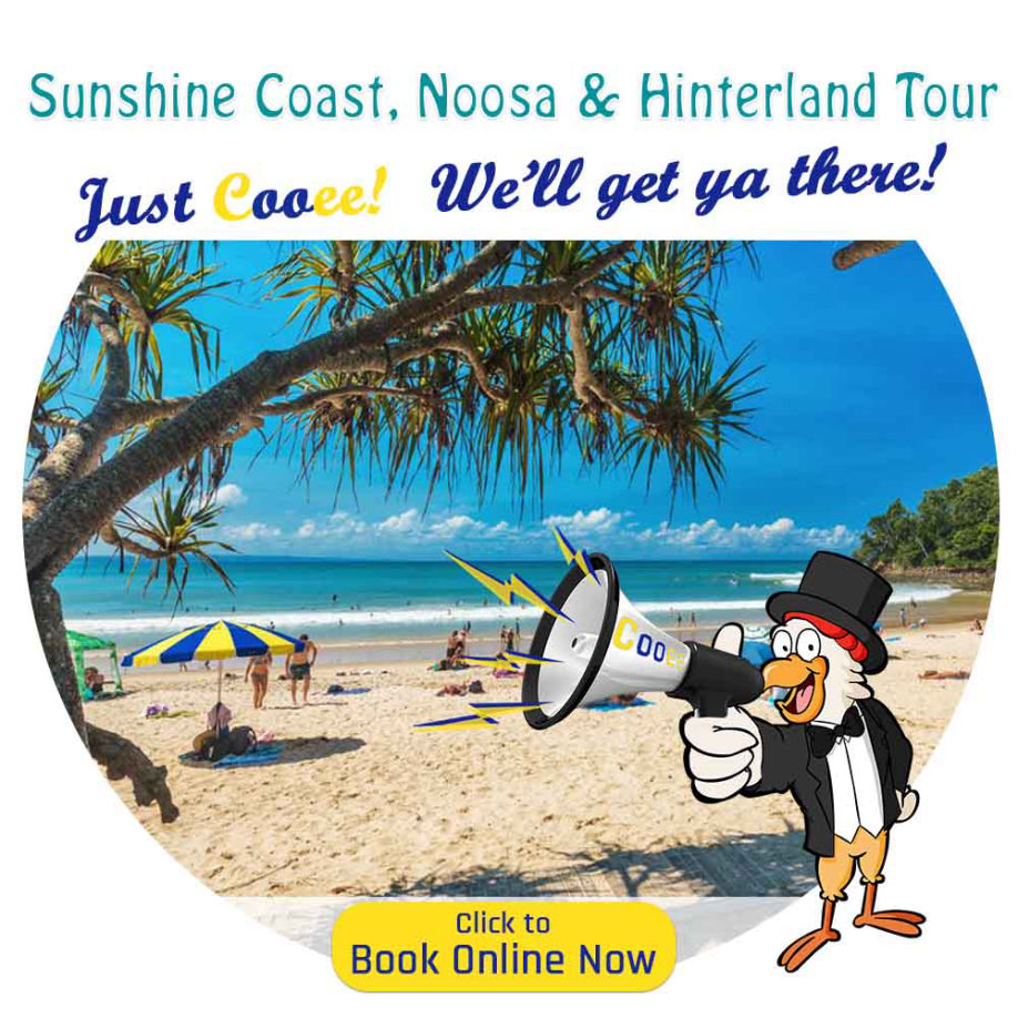 Cooee Tours Australia Bus Tour Company with Mercedes Benz Buses for Winery Tours, Nature Tours, City Tours, Fun Tours, Golf Tours, Queensland, Brisbane, Toowoomba, Gold Coast, Sunshine Coast, Cairns, Wide Bay, Bryon Bay, Sydney, food world northern rivers